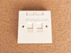 faceplate 2 port