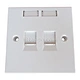 2 port faceplate